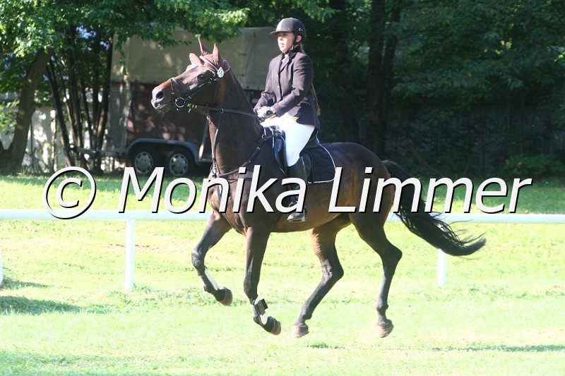 308M9182_Lucia_Springpferde A.JPG